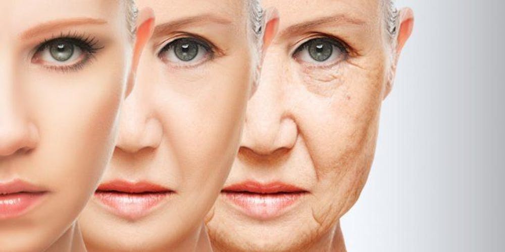 Image result for Anti-Aging
