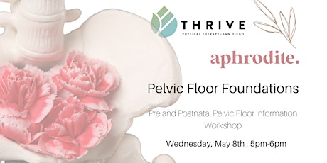 Pelvic Floor Foundations Workshop