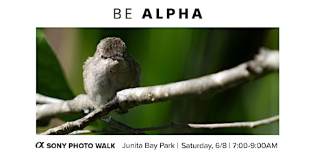 Juanita Bay Park Photo  Walk with Sony Alpha - w/Dan Hawk