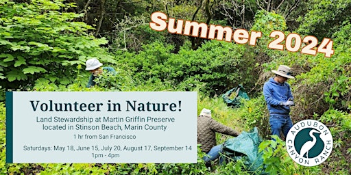 Volunteer in Nature! Stewardship Workday at Martin Griffin Preserve primary image