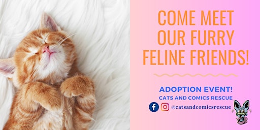 Primaire afbeelding van Cats & Coffee - Adoption Event @ Fika Fika Coffee/H-Mart shopping center
