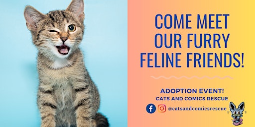 Image principale de Cats & Coffee - Adoption Event @ Fika Fika Coffee/H-Mart shopping center