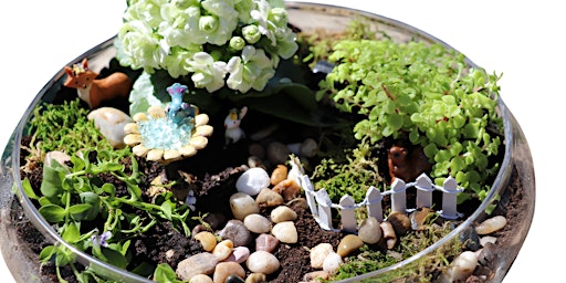 Create Your Own Fairy Garden: Step By Step Workshop