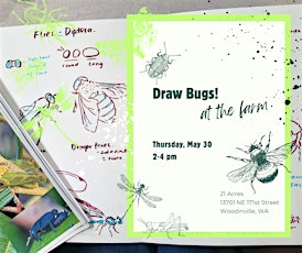 Draw Bugs! at the Farm