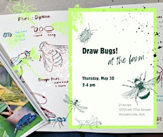 Draw Bugs! at the Farm primary image