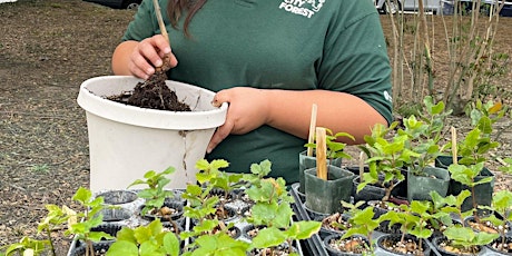 Nursery Shrub Care Workday (Moderate Intensity)