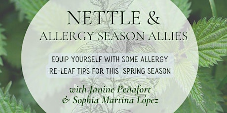 Nettle & Allergy Season Allies