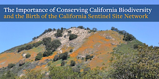 Imagen principal de The Importance of Conserving California Biodiversity