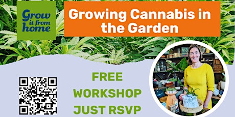 Growing Cannabis in the Garden