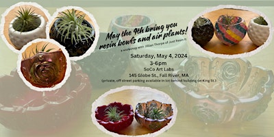 Immagine principale di May the 4th bring you Resin Bowls and Air Plants 