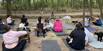 Imagem principal de Goat Yoga
