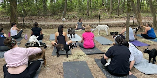 Hauptbild für Goat Yoga