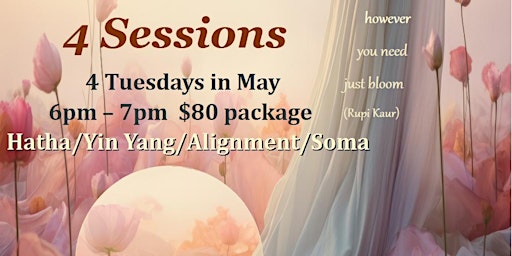 Image principale de Seasonal Yoga/ 4 Sessions Package Deal
