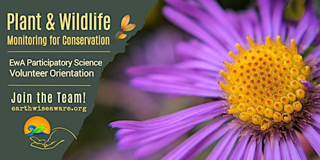 Primaire afbeelding van Introduction to Plant & Wildlife Monitoring for Conservation