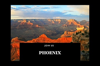 Phoenix: Financial Change Retreat : Interactive Simulation  with Experts primary image