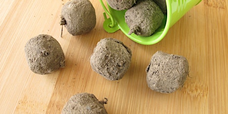 Let's Make Seed Balls!