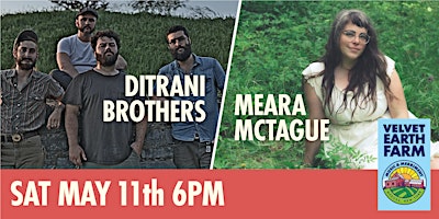 Hauptbild für DiTrani Brothers - Meara Mctague