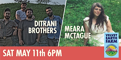 DiTrani Brothers - Meara Mctague primary image
