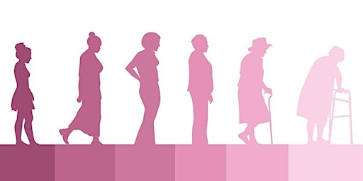 The Menopause Transition  primärbild