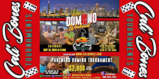 Primaire afbeelding van "IT'S A VIBE" CHICAGO PARTNERS DOMINO TOURNAMENT MAY 18, 2024 @8:30A
