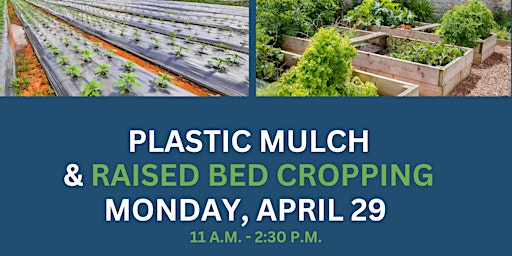 Plastic Mulch  & Raised Bed Cropping primary image