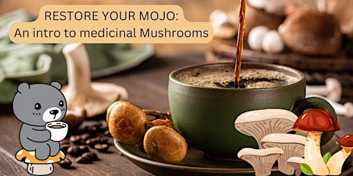 Imagem principal de RESTORE YOUR MOJO: An Intro to Medicinal Mushrooms and Elixir Creations
