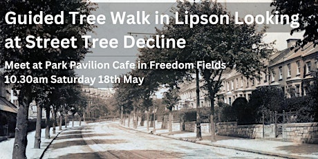 Guided Tree Walk in Lipson Looking at Street Tree Decline