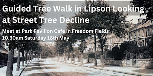 Guided Tree Walk in Lipson Looking at Street Tree Decline primary image
