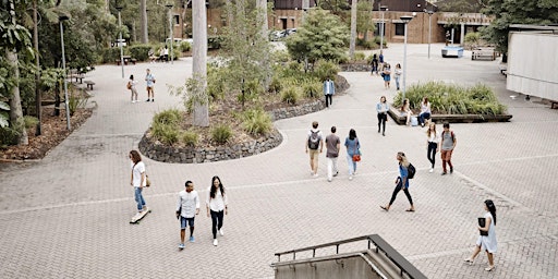 Imagem principal de Blending in the Aussie HDR Environment: A Guide for International Students