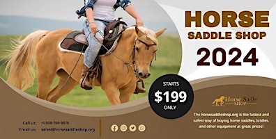 Leather Horse Saddles only USA primary image