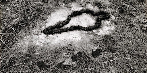ANA MENDIETA: SOIL, DIRT AND THE BODY AS ART primary image
