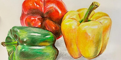 Coloured Pencil Drawing Course by Xiang Ling – NT20240726CPD