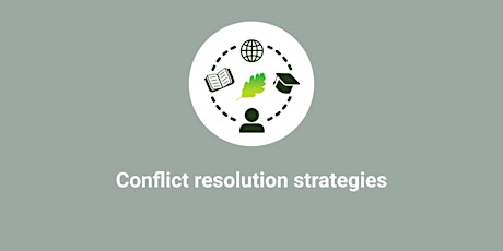 Conflict Resolution Strategies-PM