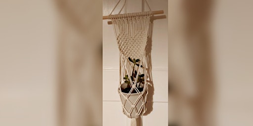 Macrame for Beginners - Plant Hanger primary image