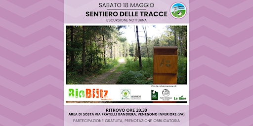 Hauptbild für Escursione notturna - Sentiero delle Tracce