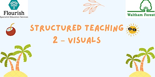 Structured Teaching 2 – Visuals primary image