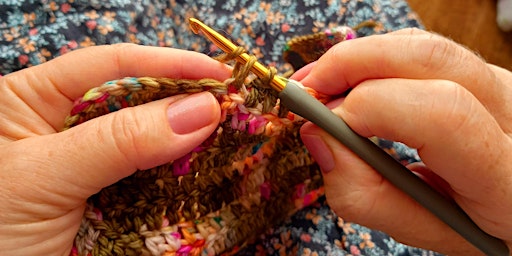 Beginners Crochet in a day! primary image