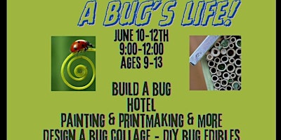 Primaire afbeelding van BUG'S LIFE ART CAMP -3 mornings June 10,11,12  build, create, & FUN