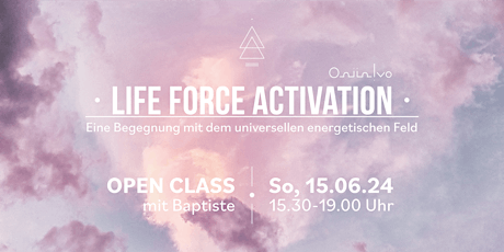 Life Force Activation - Gruppen-Session