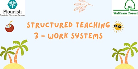 Structured Teaching 3  - Work Systems