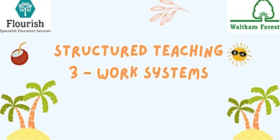 Imagen principal de Structured Teaching 3  - Work Systems