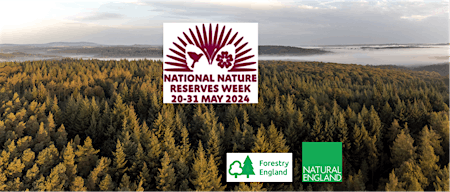 Wyre Forest National Nature Reserve Week - Family activity day primary image