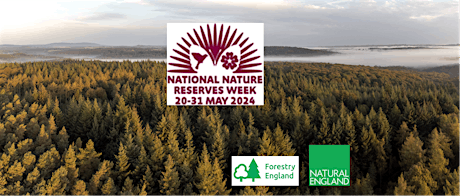 Wyre Forest National Nature Reserve Week - Family activity day