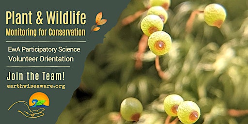 Image principale de Introduction to Plant & Wildlife Monitoring for Conservation