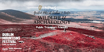 Imagen principal de Wildlife & Archaeology: Guided Hike at Seefin by NPWS Wicklow