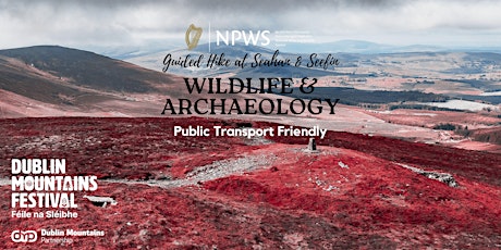 Wildlife & Archaeology: Guided Hike at Seefin by NPWS Wicklow