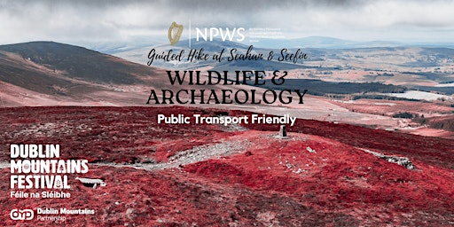 Wildlife & Archaeology: Guided Hike at Seefin by NPWS Wicklow primary image