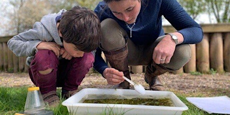 Wild families: Pond dipping (pm) (ELC 2511)