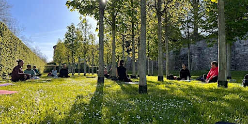 Immagine principale di After Work Yoga im Park Lichtenwalde 