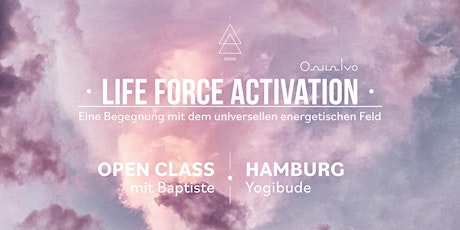 Life Force Activation - Gruppen-Session